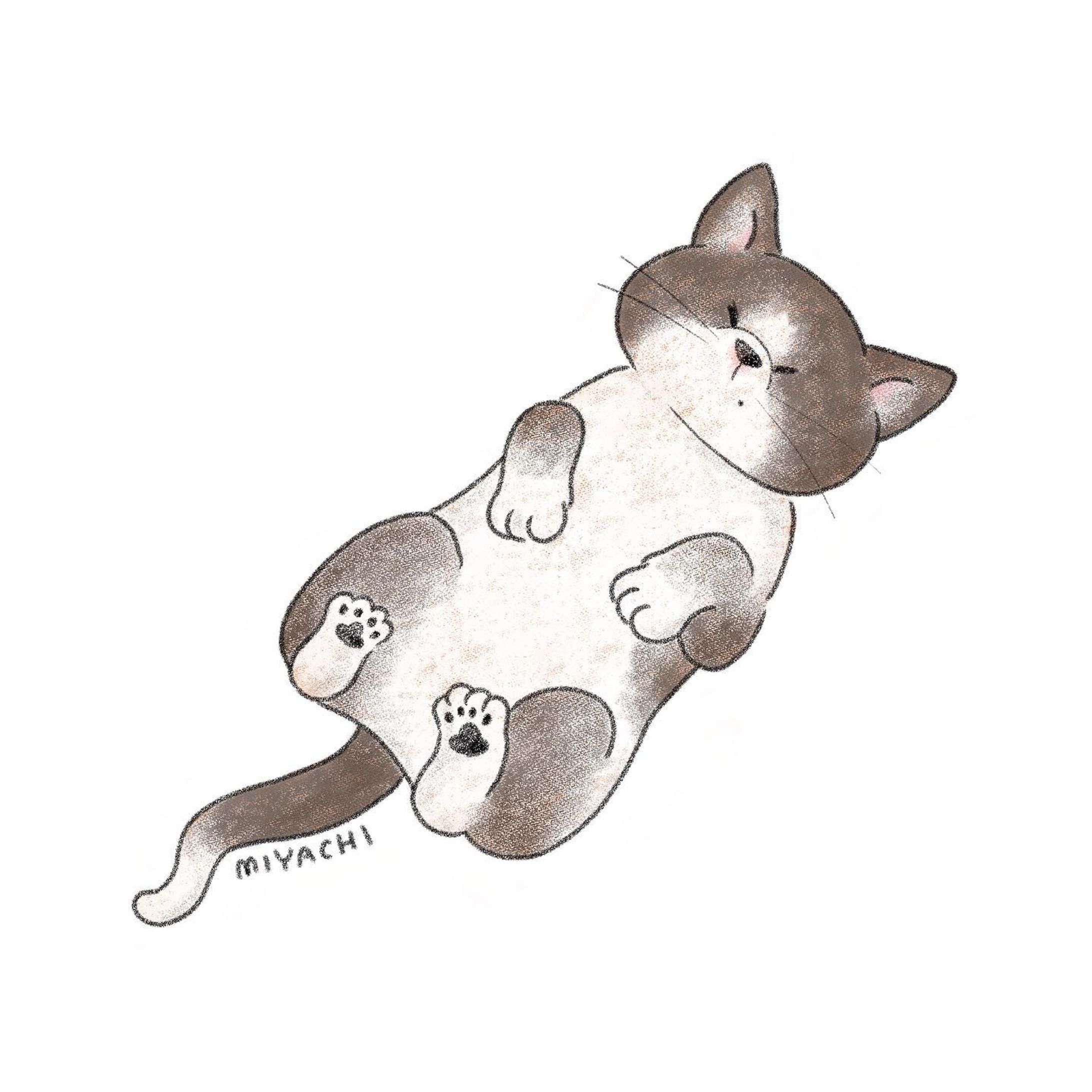 明日はあったかいってさ

#イラストレーター#イラスト#デジタルイラスト#動物#ペット#猫#illustrator#illustration#animal#pet#cat-1