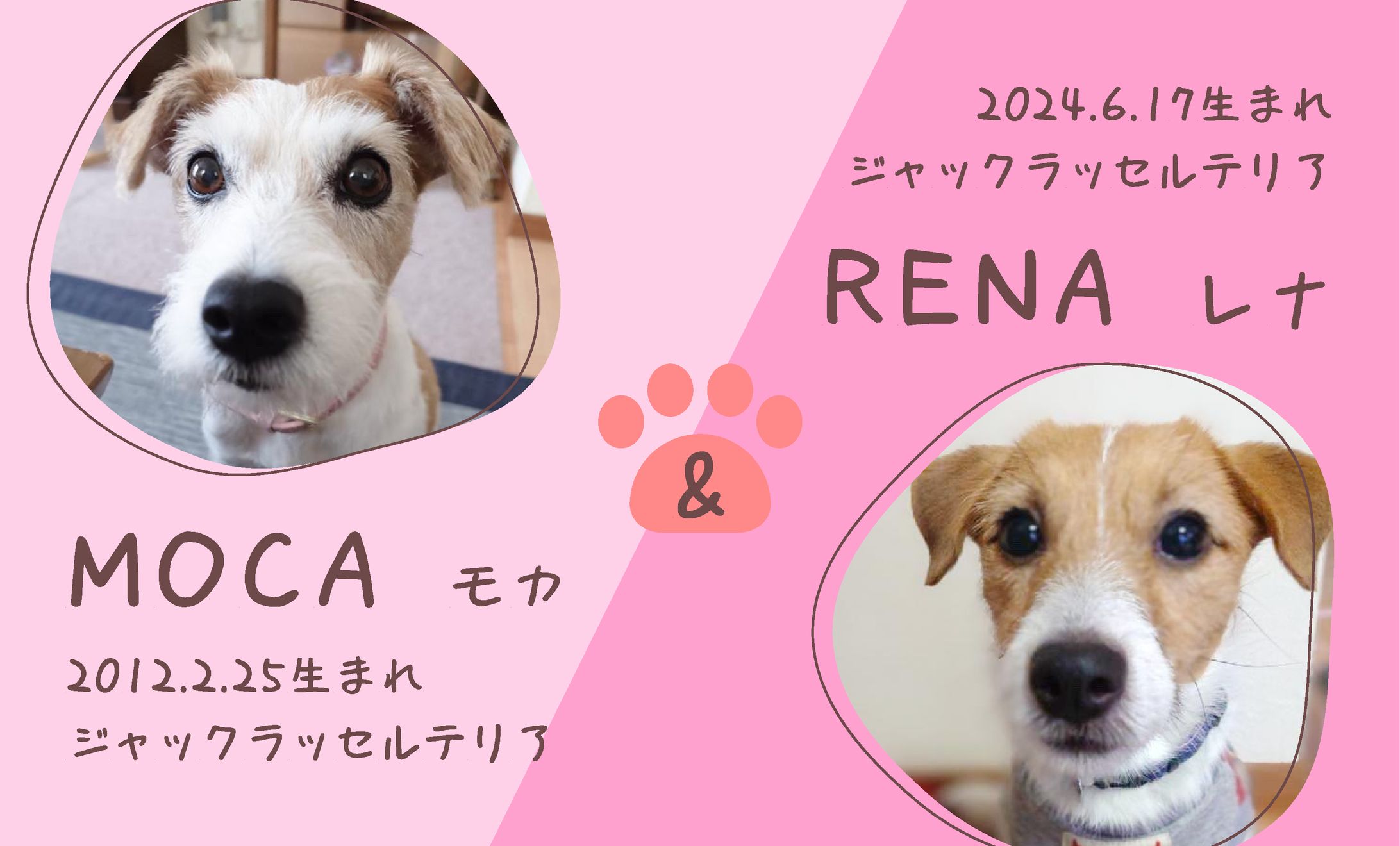 愛犬用名刺②-1