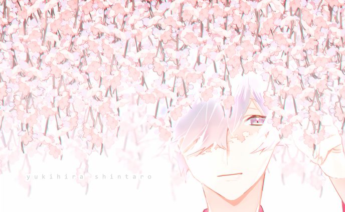 枝垂れ桜