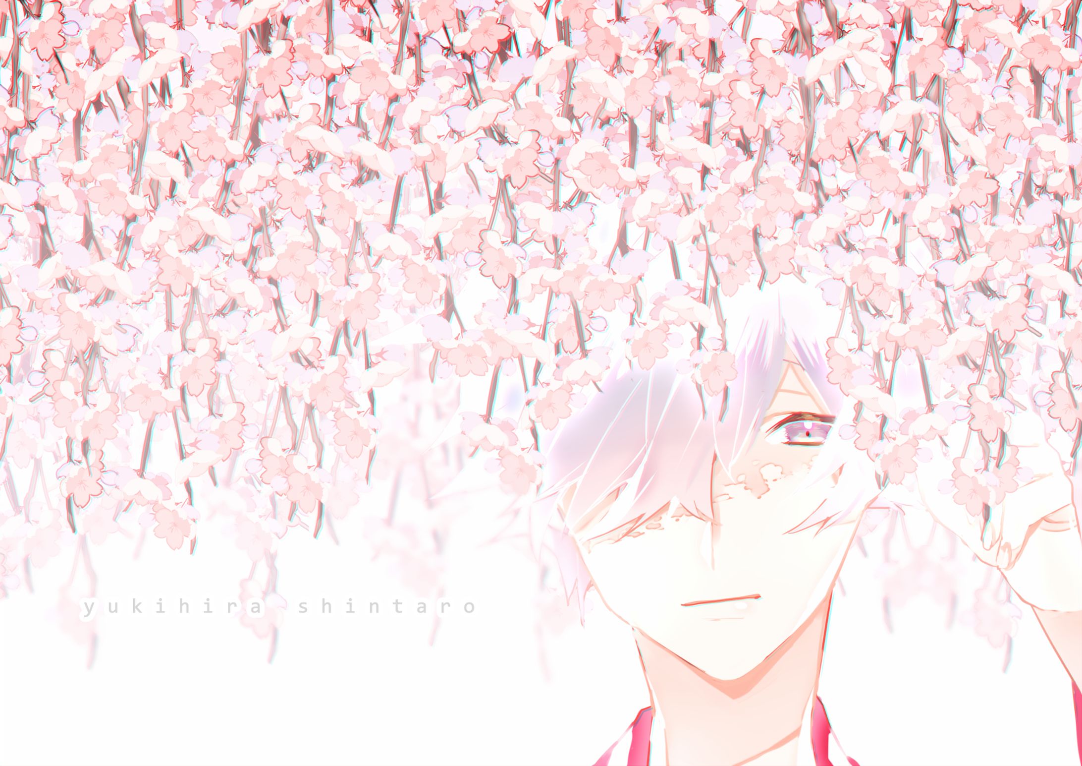 枝垂れ桜-1
