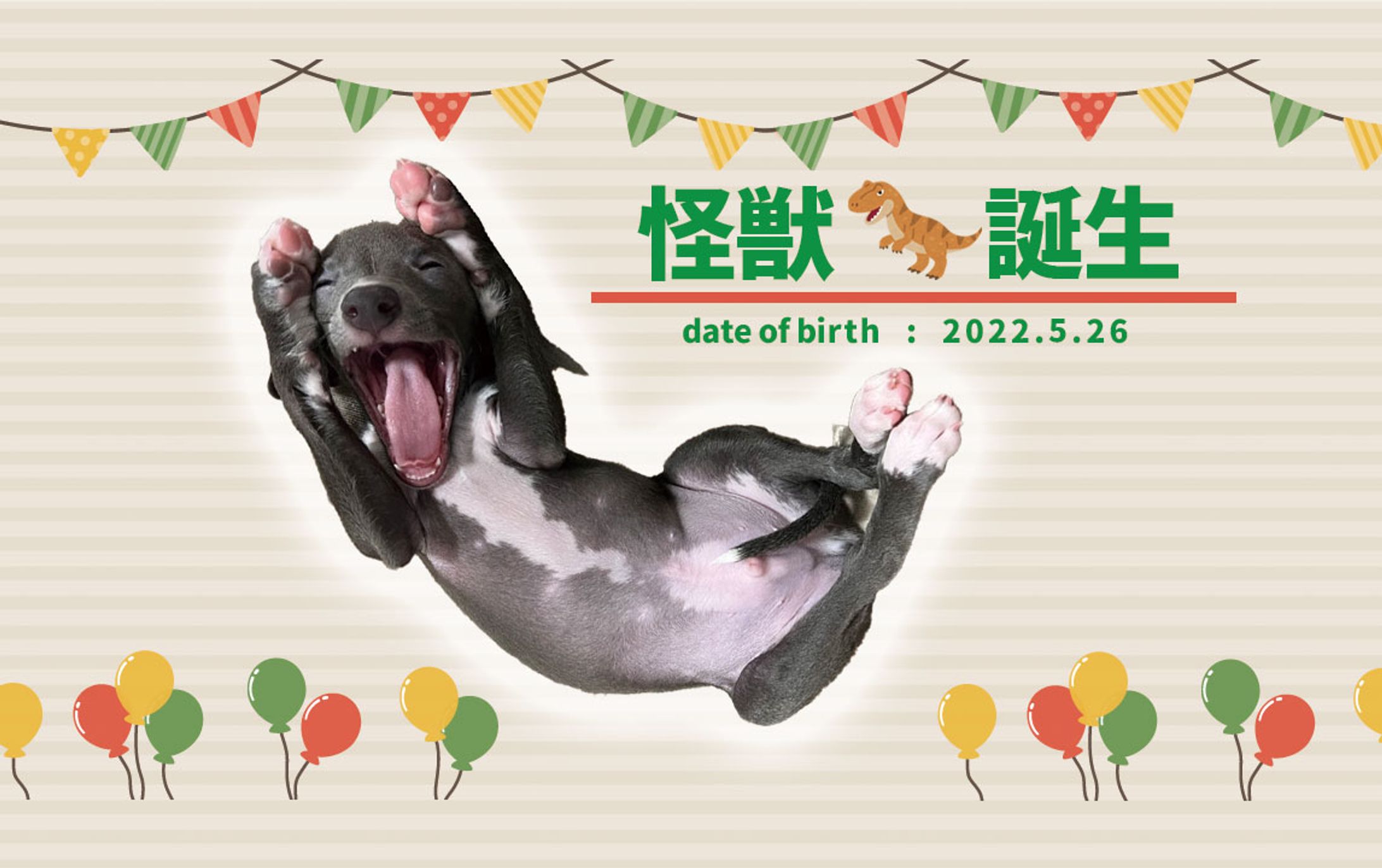 ワンちゃん名刺-1
