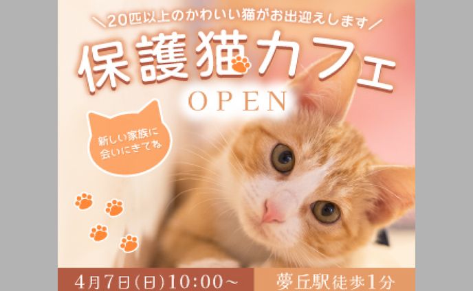 【架空バナー】保護猫カフェ