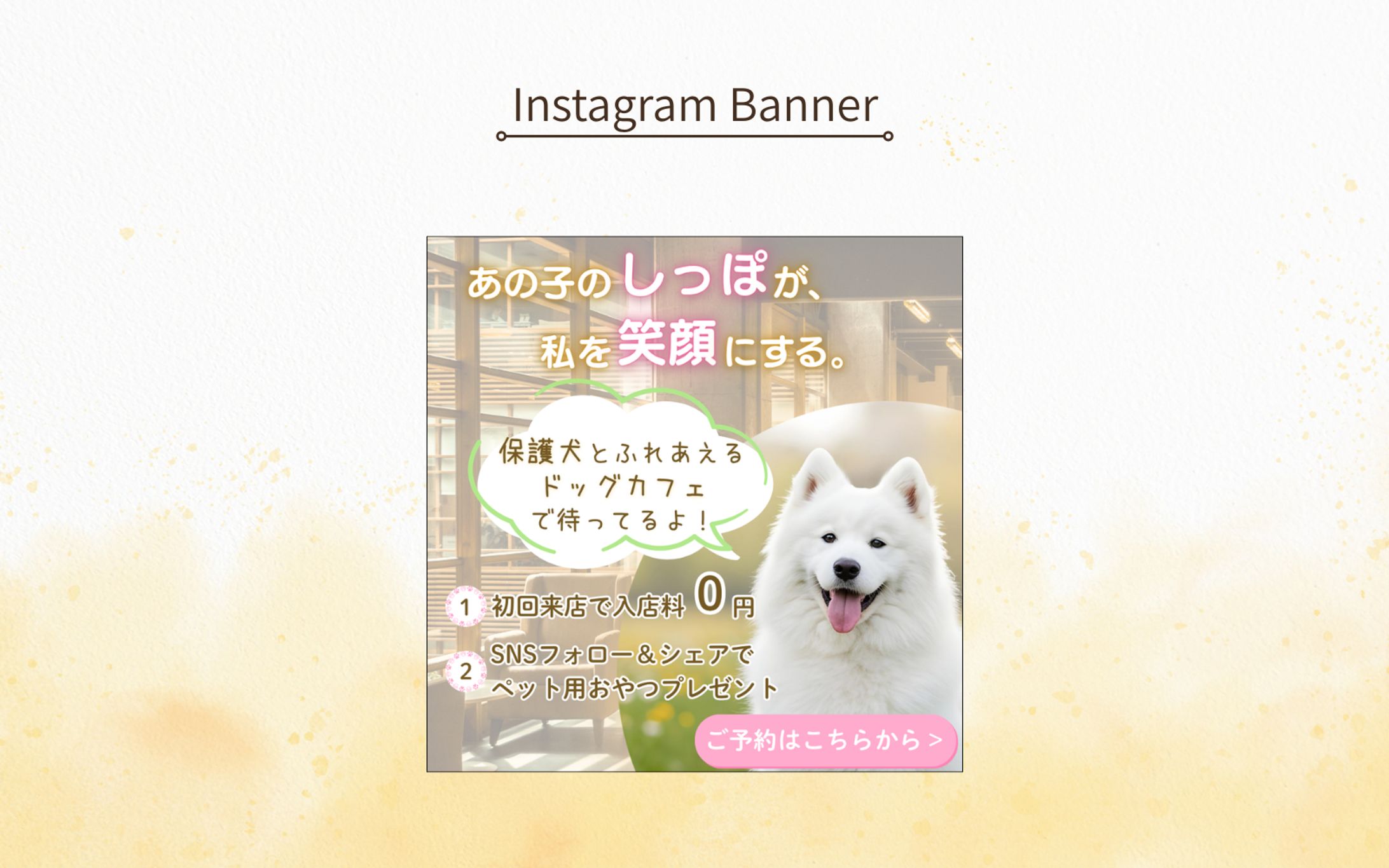 保護犬カフェのバナー-1