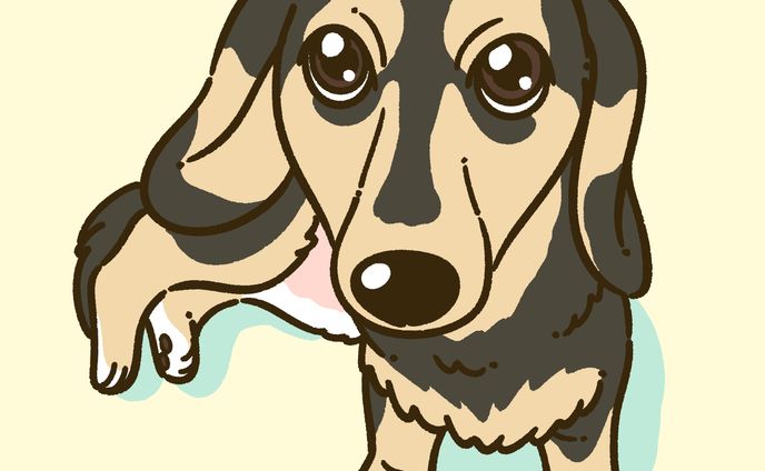 写真をイラスト化