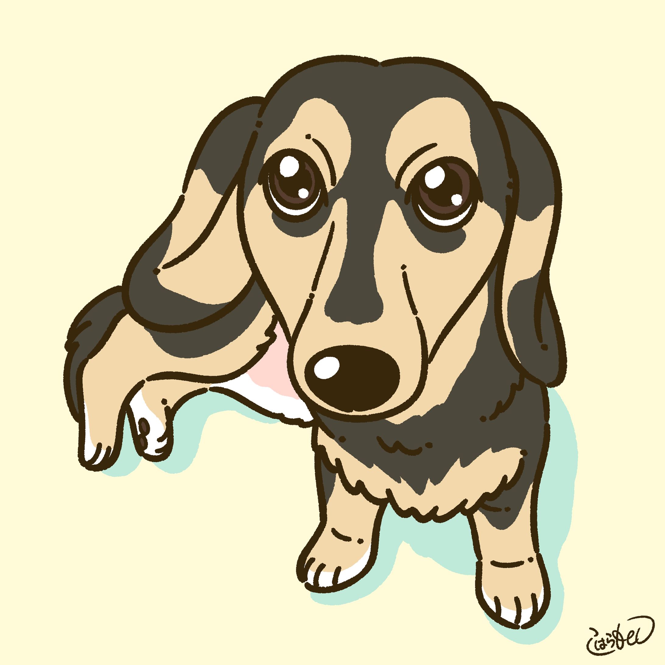 写真をイラスト化-1