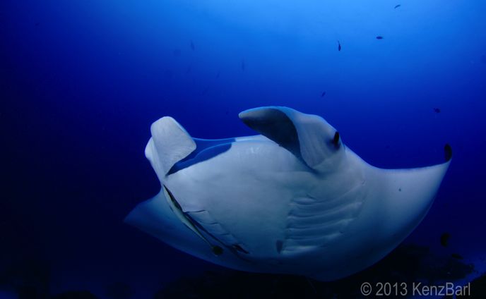 Under Water