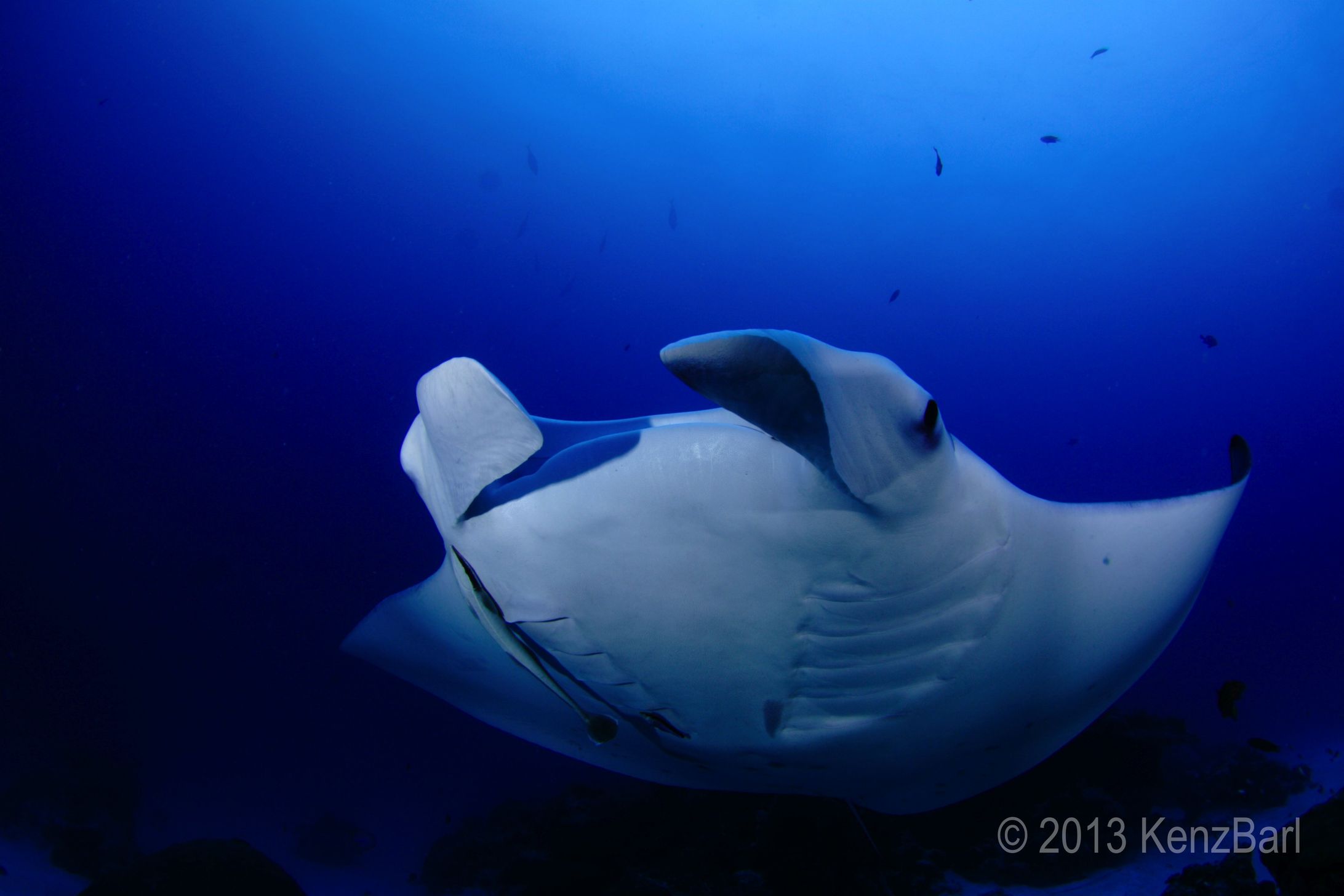Under Water-1