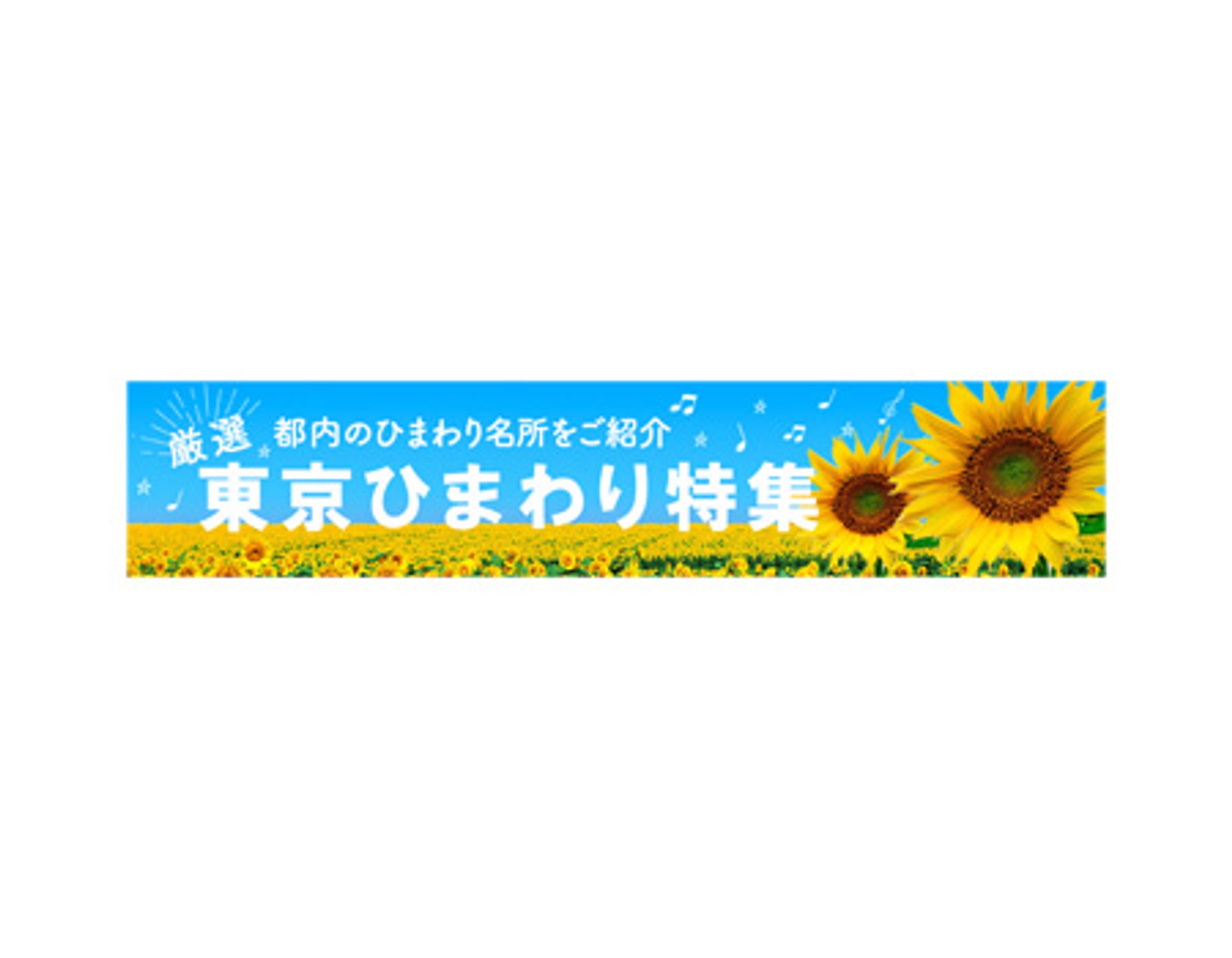 ひまわり特集／横長バナー-1
