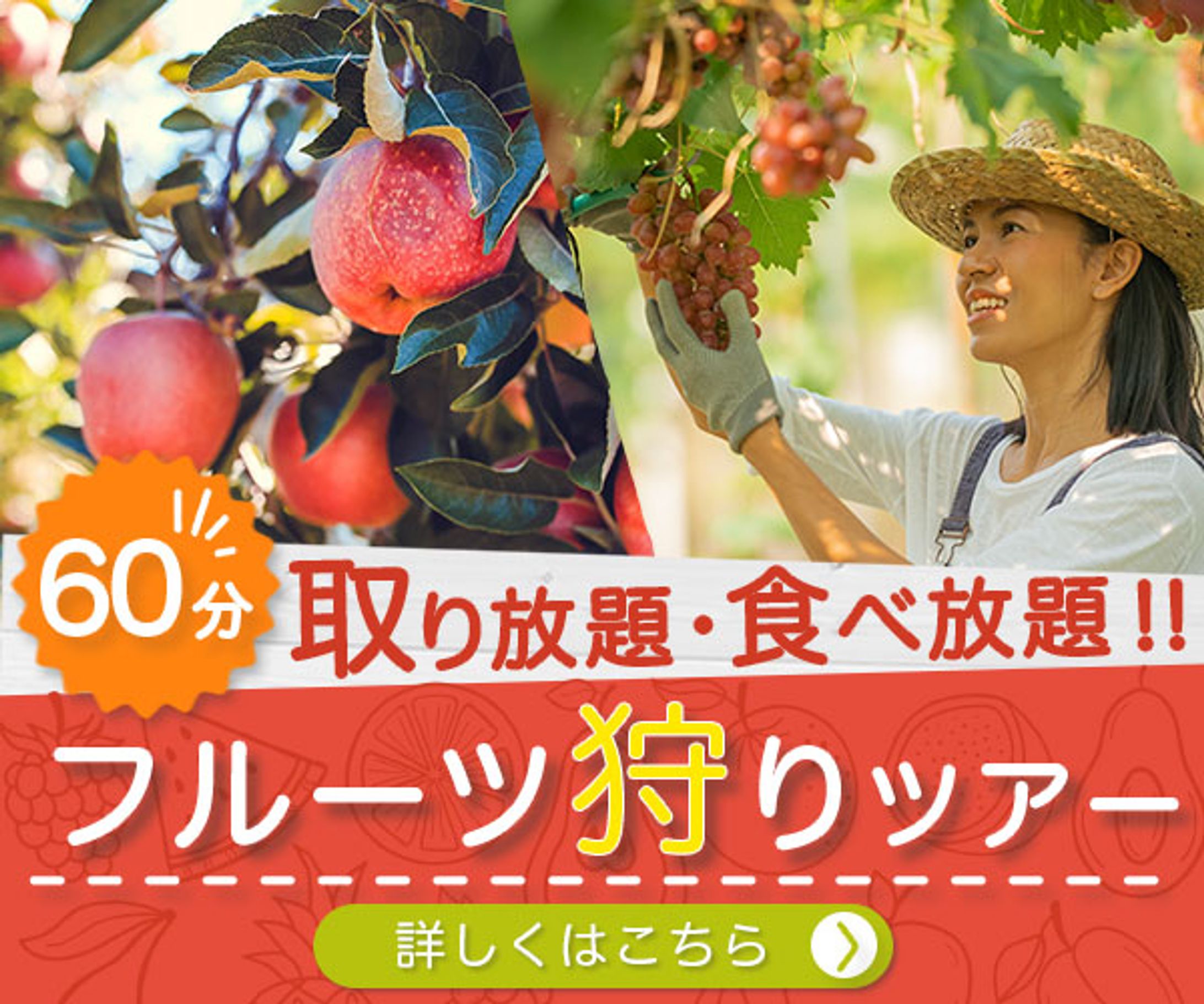 バナー：フルーツ狩り-1