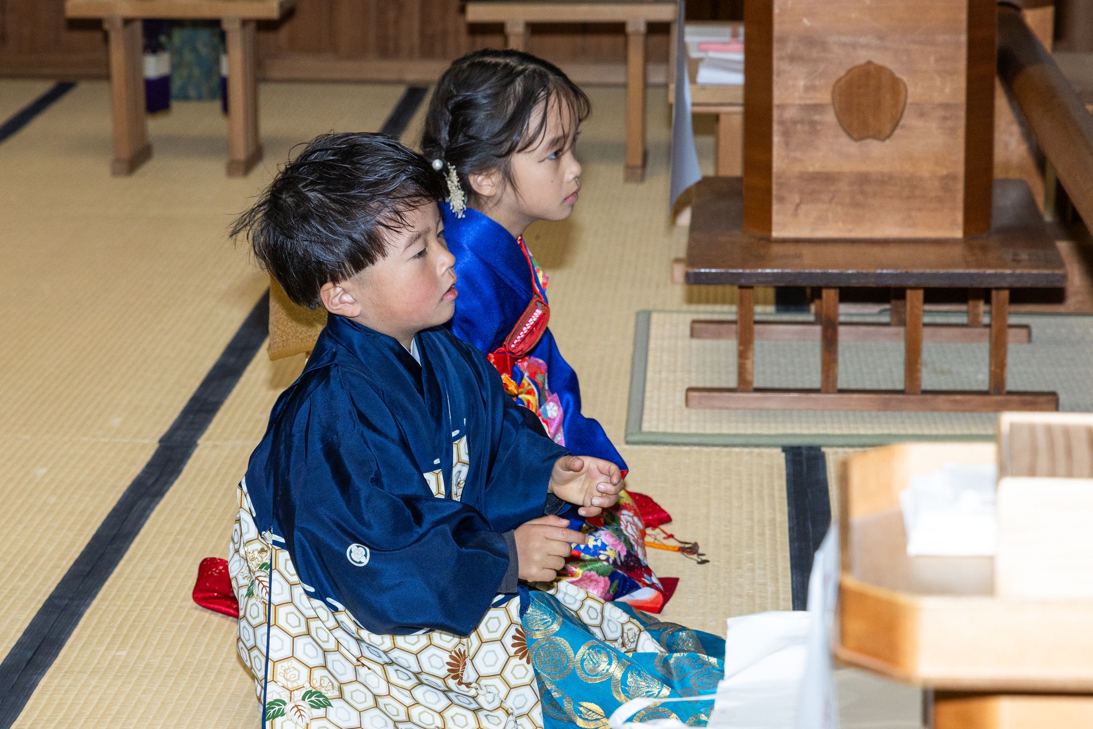 2025足立区七五三Photos-1