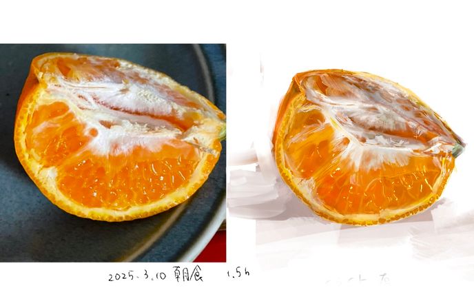2024〜2025.3
