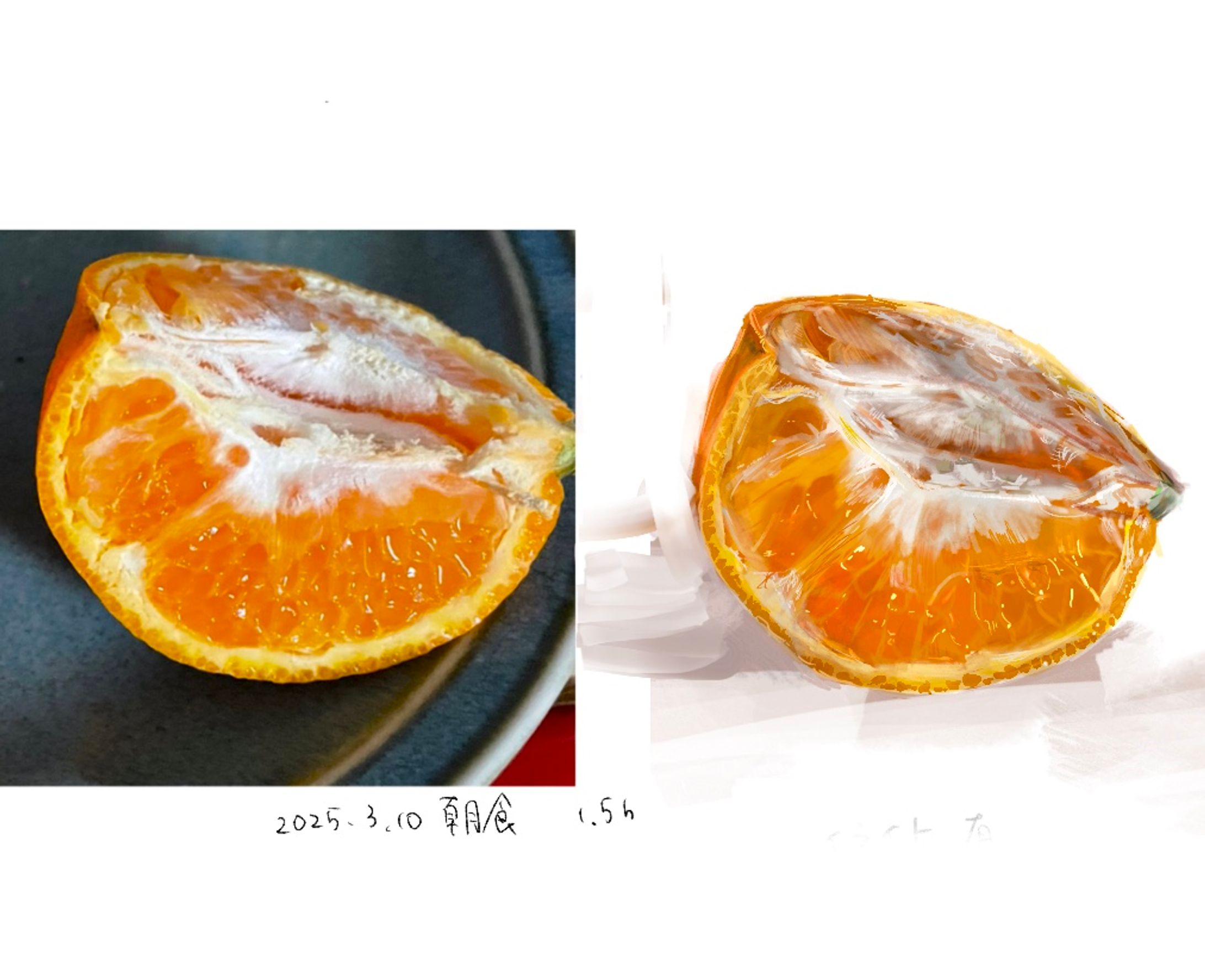 2024〜2025.3-1