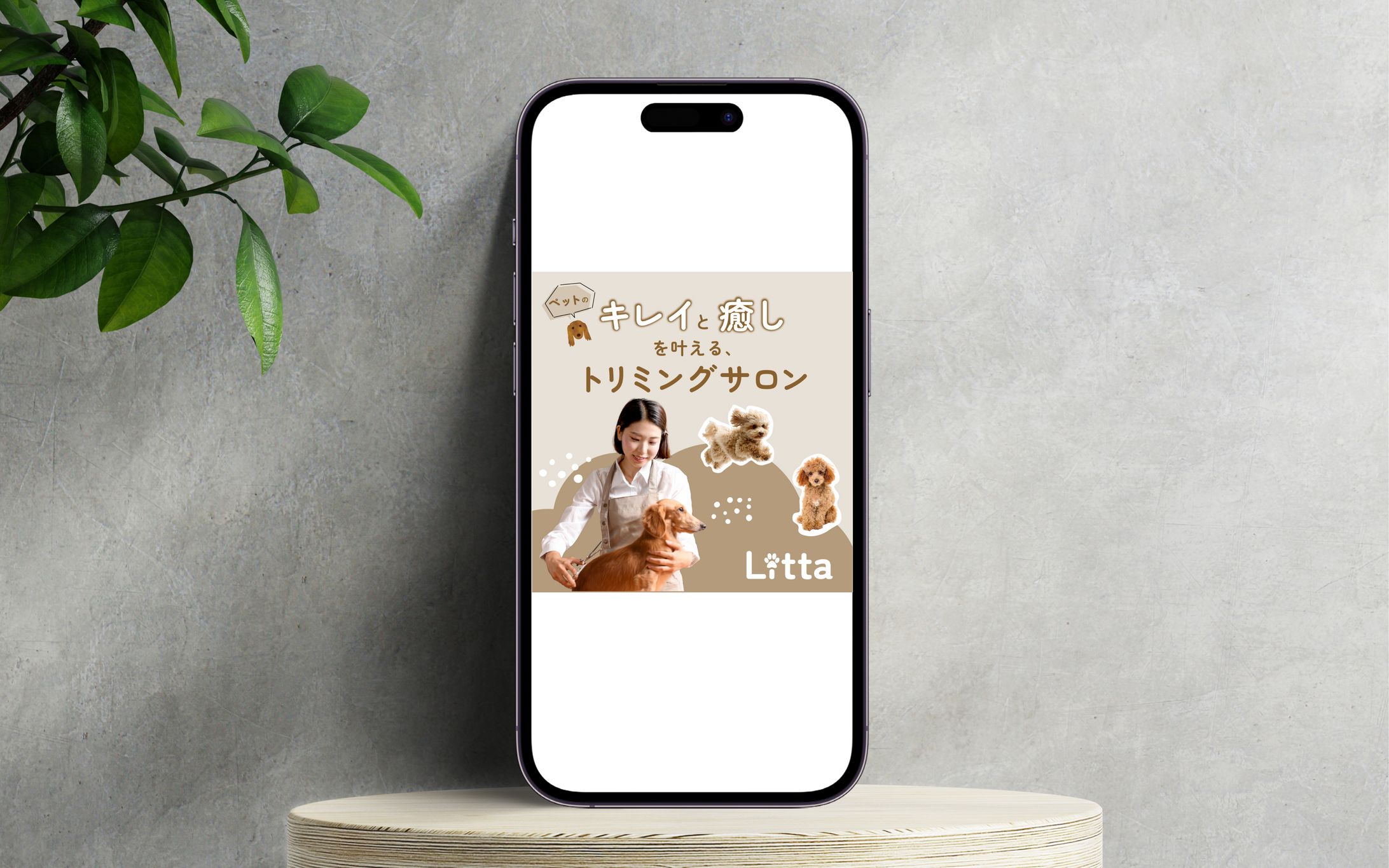 【架空案件】トリミングサロンSNS広告等-1