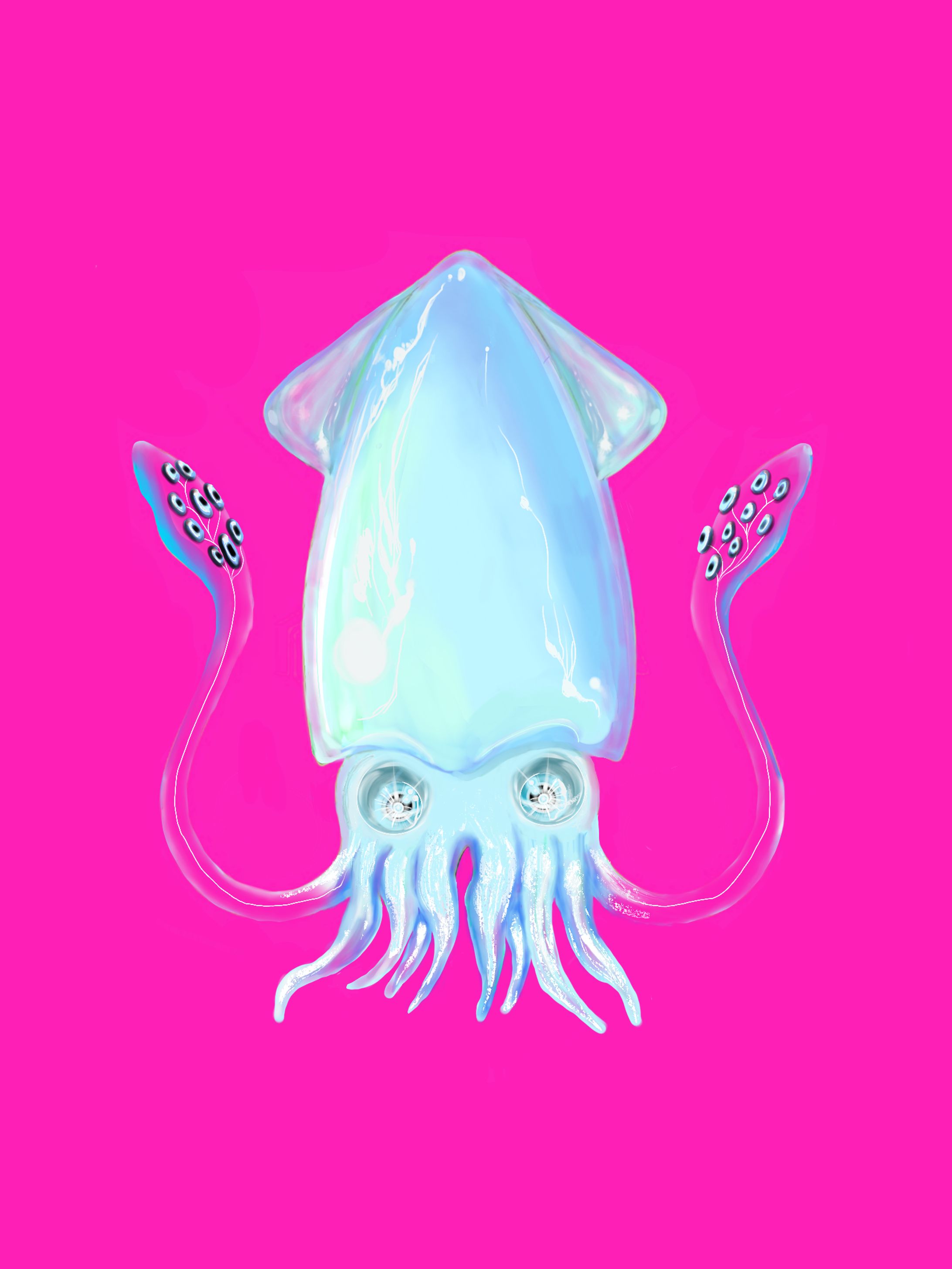 イカの喜び-1