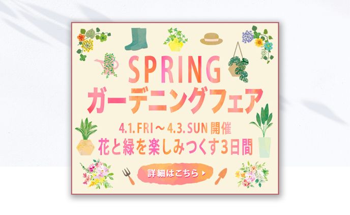 イラスト　デザイン、ライター