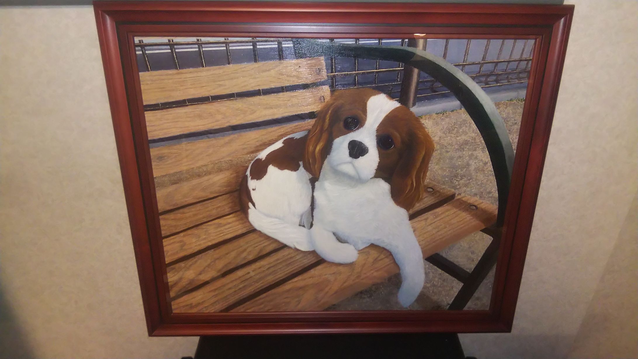 ベンチに座る犬-1
