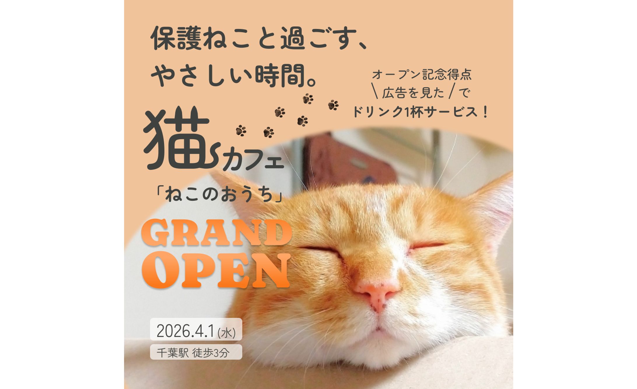 【コンペ用作品】猫カフェ新規オープンバナー-1