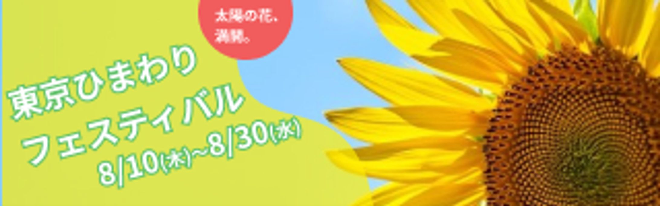 イベントバナー-1