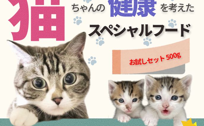 キャットフードお試し系バナー（課題）