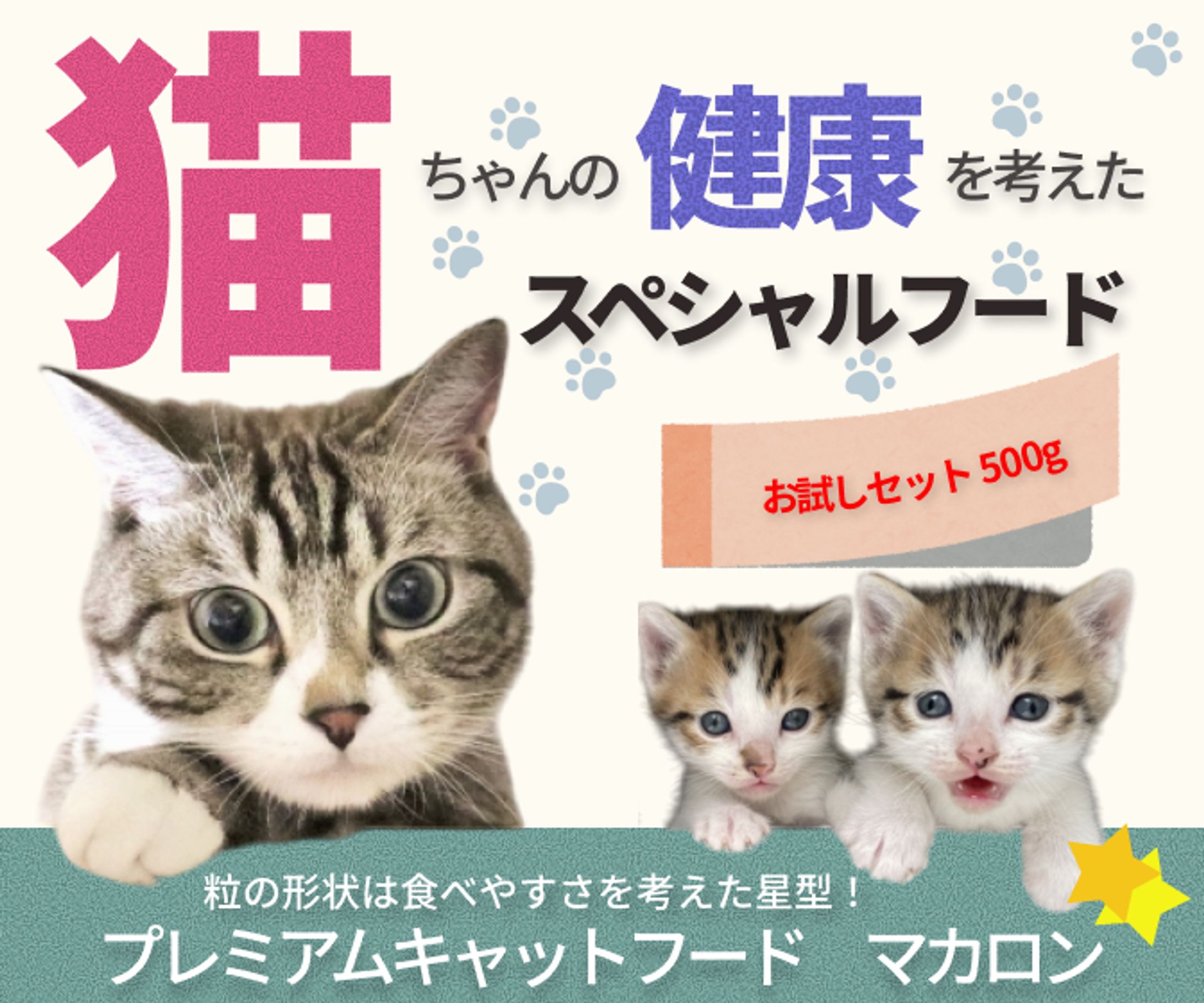 キャットフードお試し系バナー（課題）-1