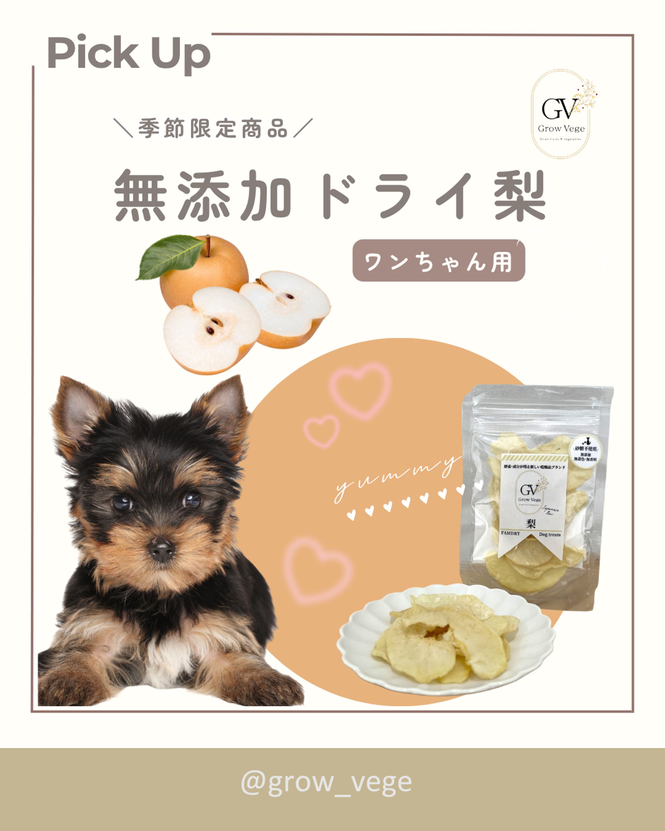 ペットフードアカウントInstagramフィード投稿②-1