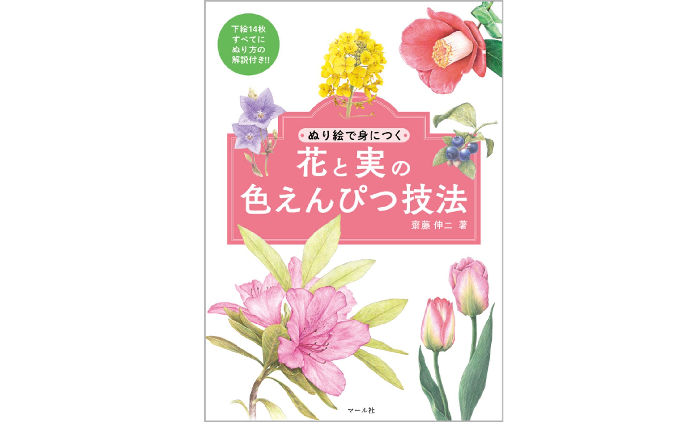 書籍『ぬり絵で身につく 花と実の色えんぴつ技法』-1