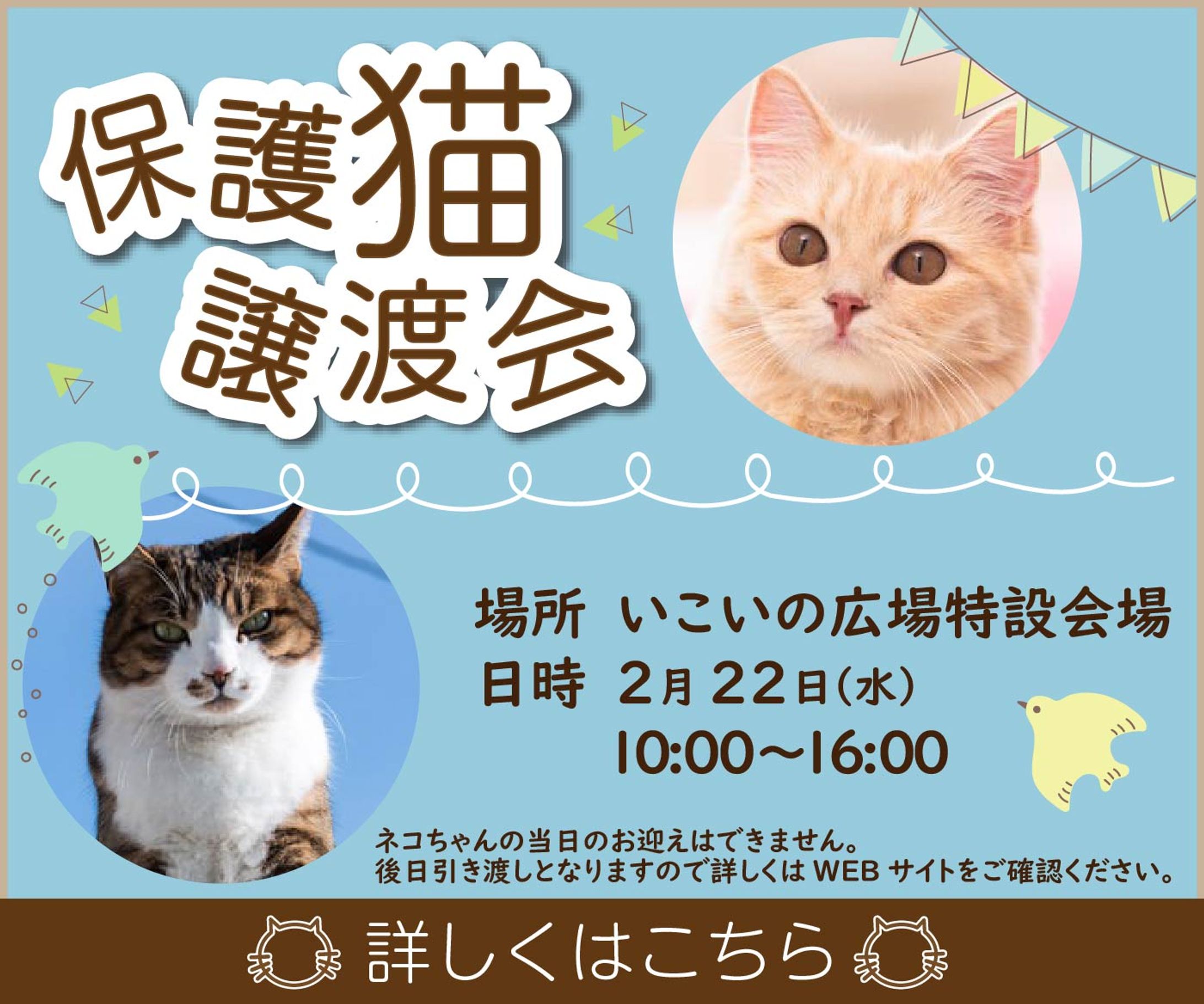 保護猫譲渡会バナー[フィクション]-1