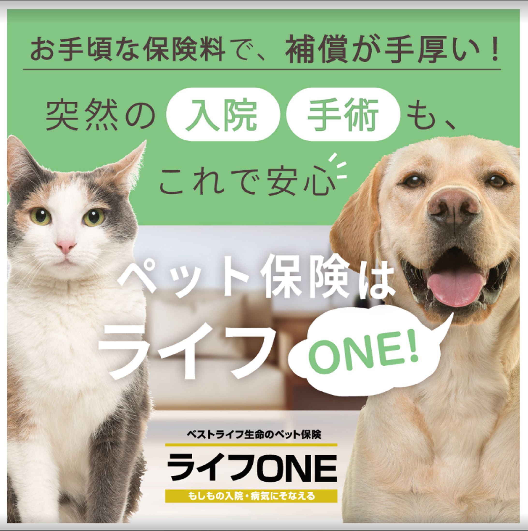 バナー広告-1