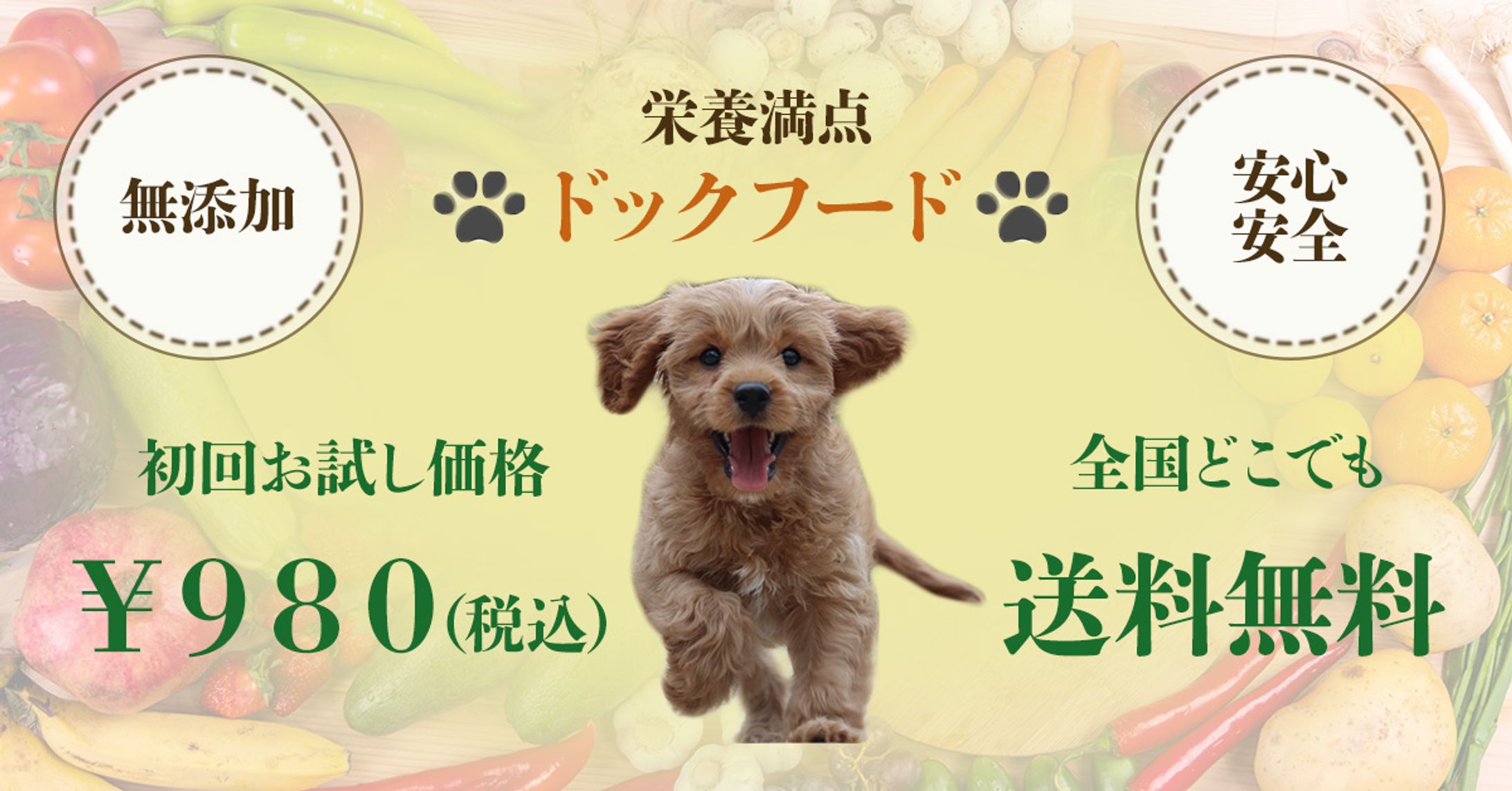 ドッグフードバナー-1