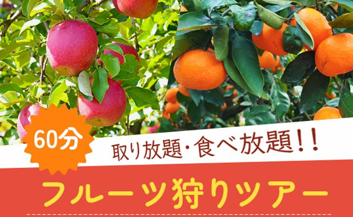 Banner_Fruit Picking