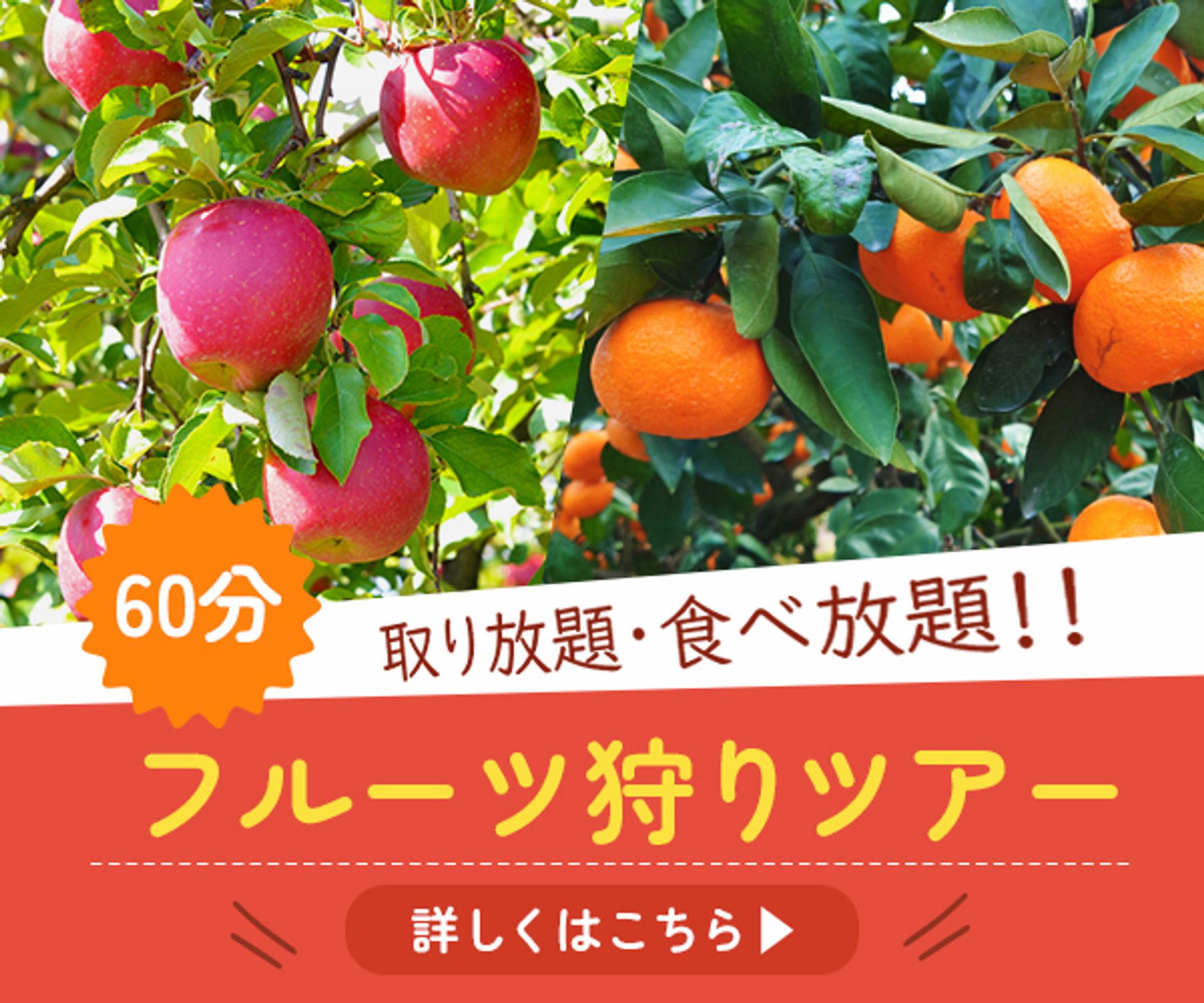 Banner_Fruit Picking-1