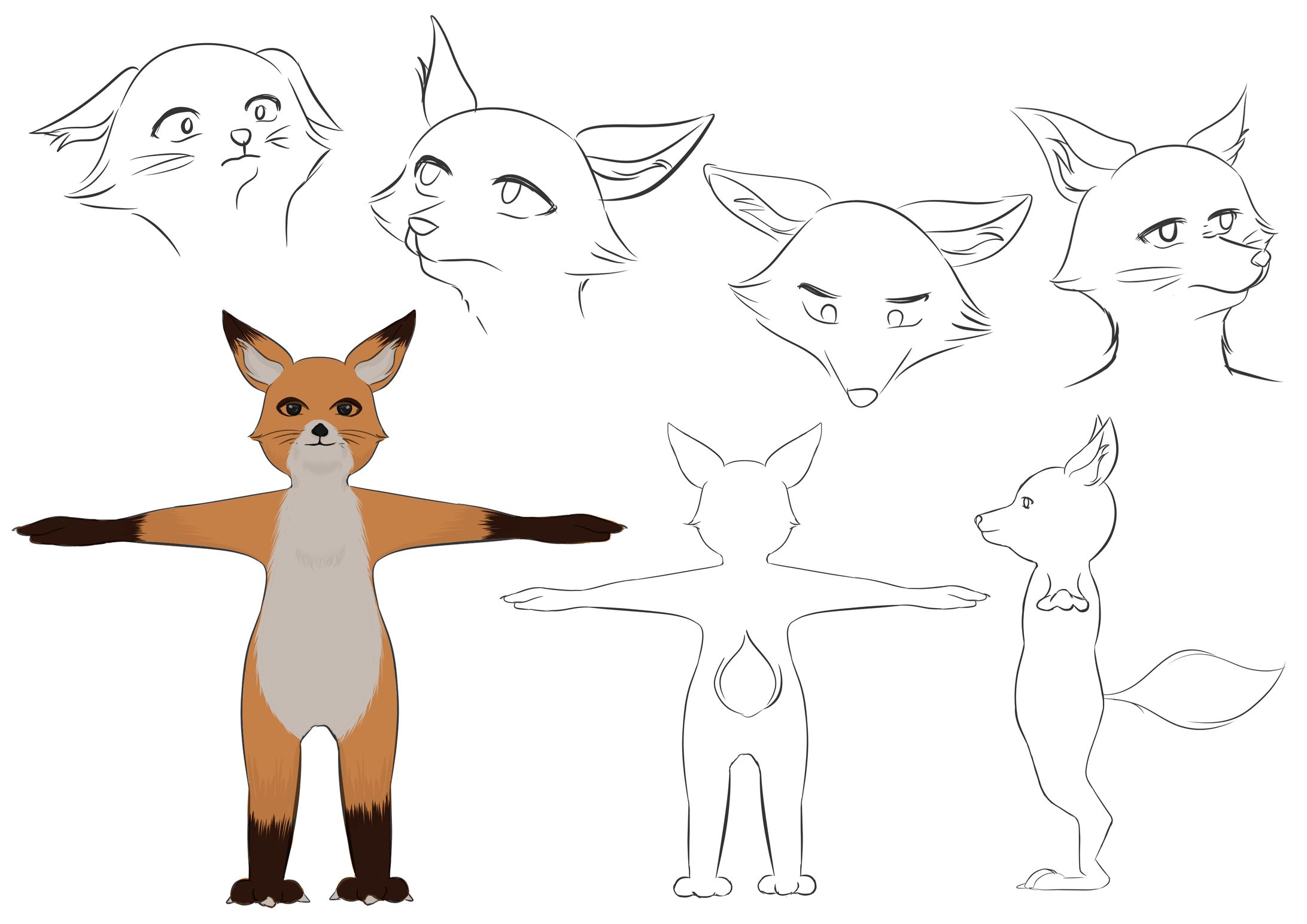 Foxie Character Design-1