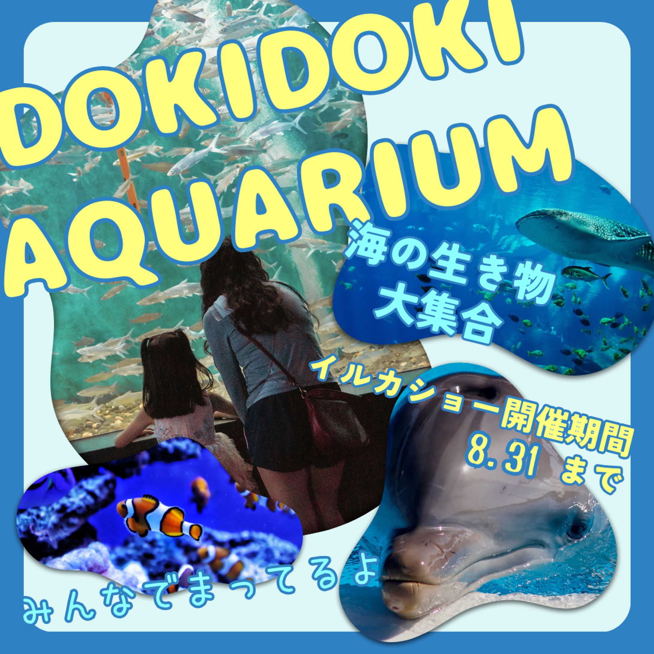 【バナー】水族館-1