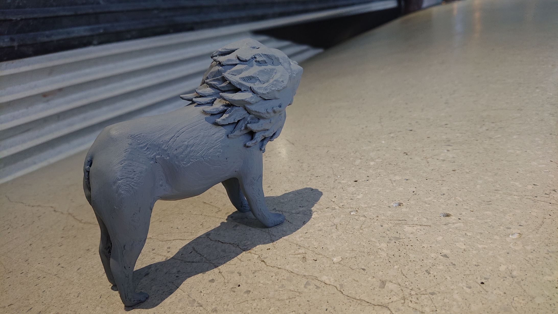 Lion-1