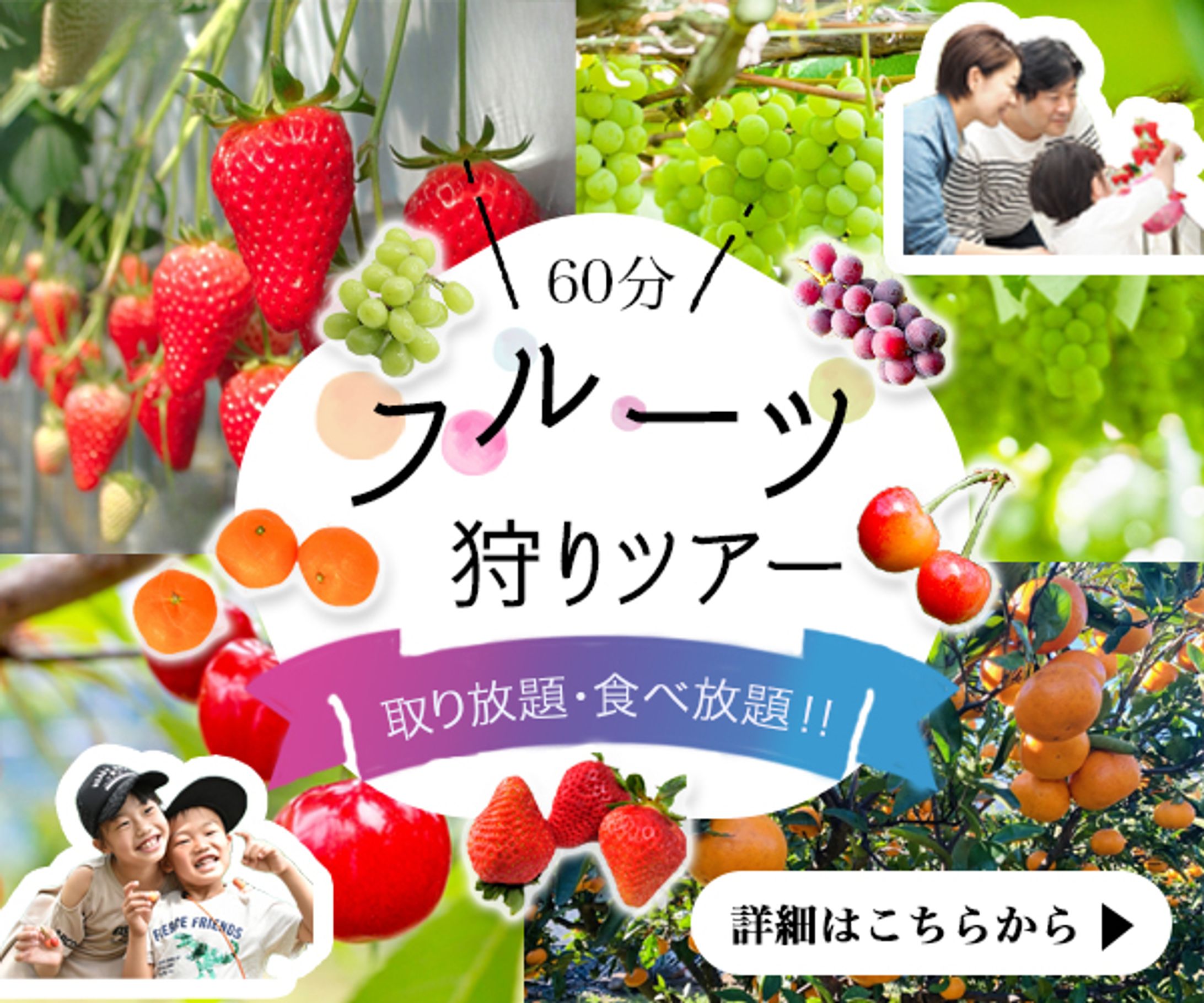 フルーツ狩りツアー-1