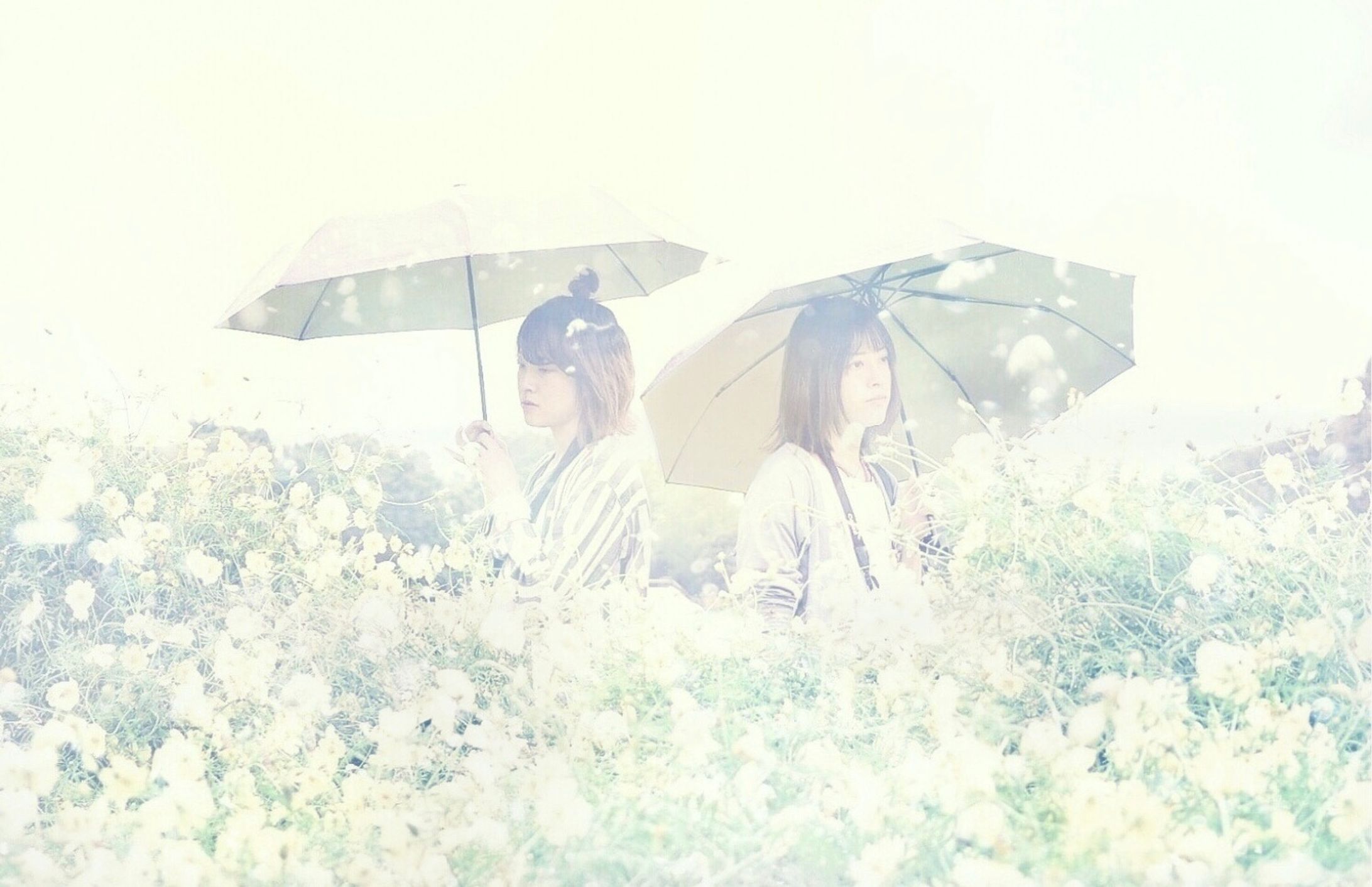 テーマ「心に灯す光と色彩のパレット」-1