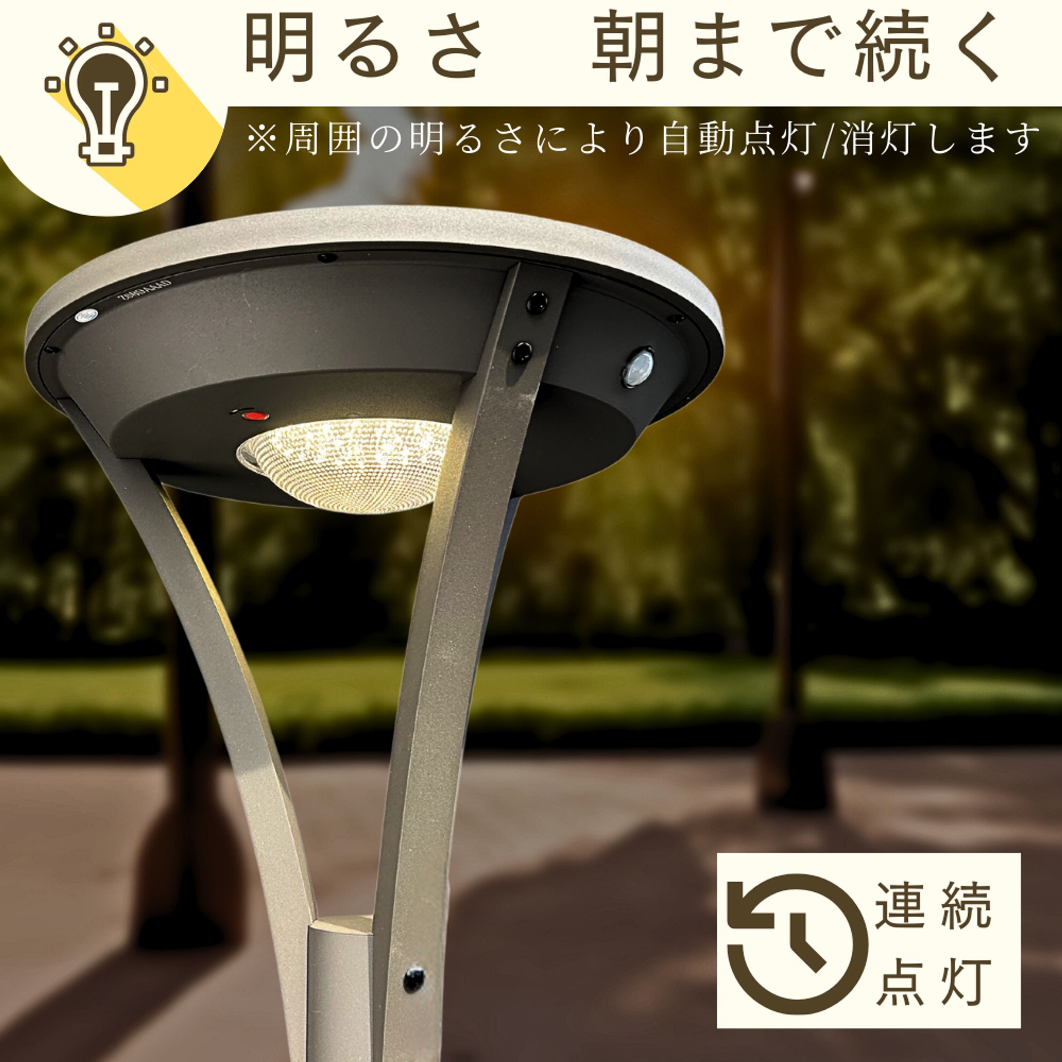 ライト画像制作-1