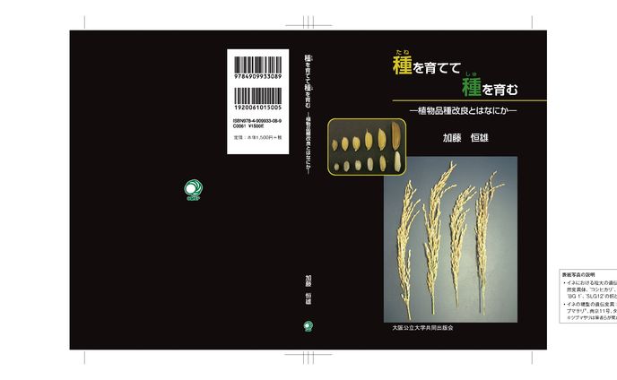 子育て、2019年