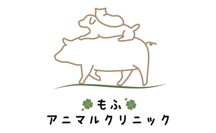 制作実績 もふアニマルクリニック様