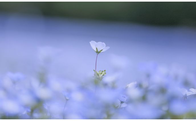 明日を見つめて