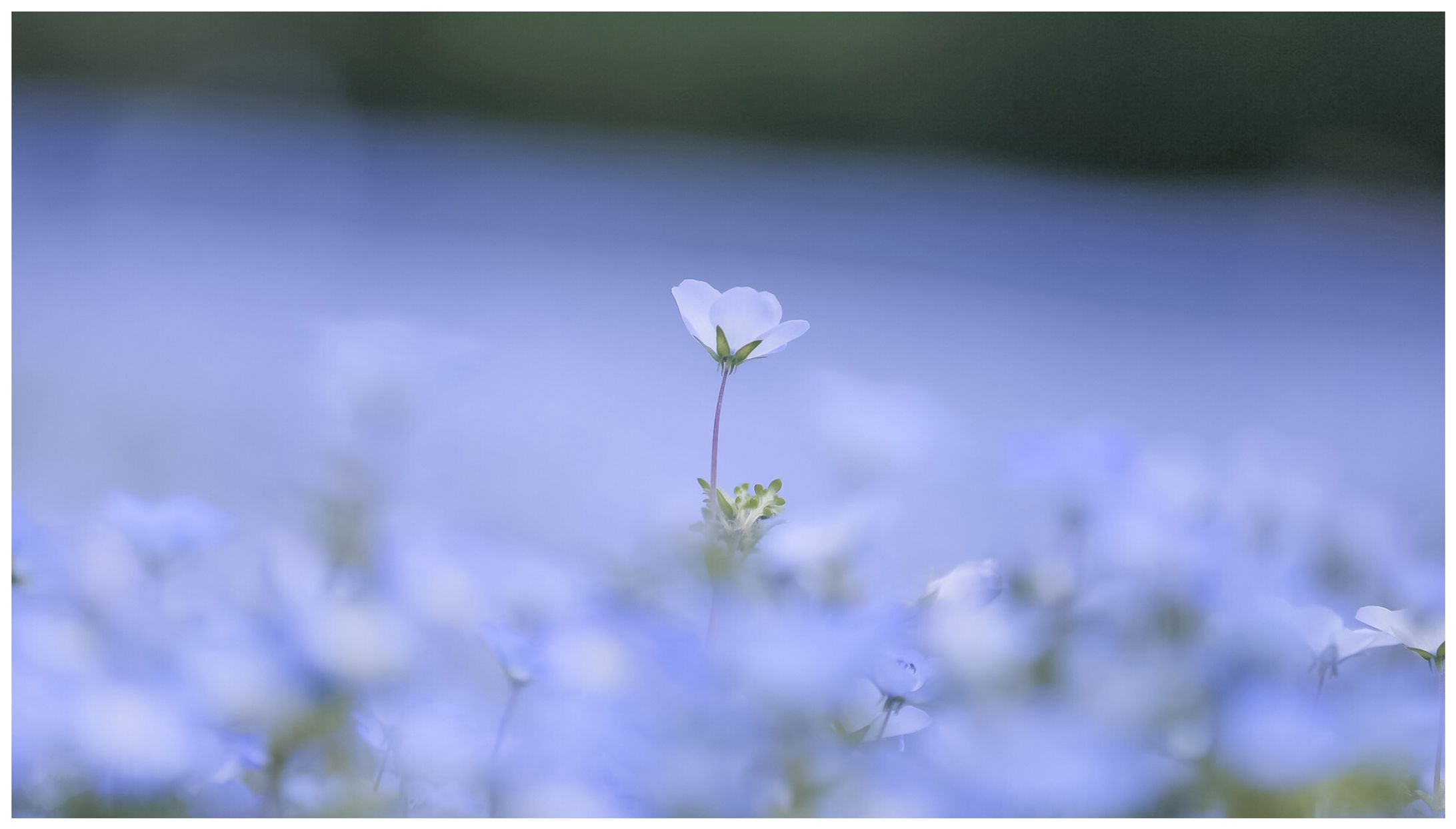 明日を見つめて-1