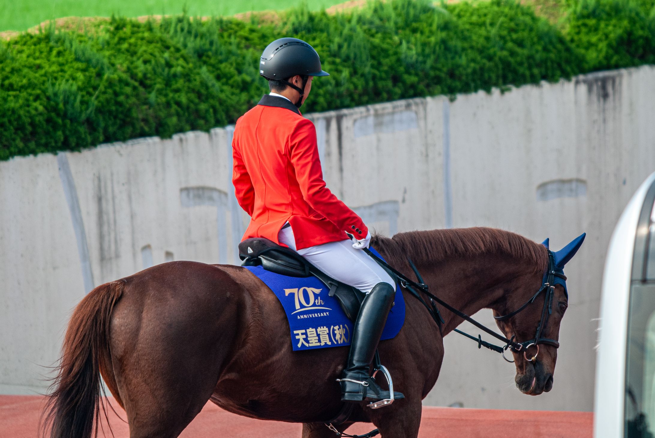 誘導馬-1