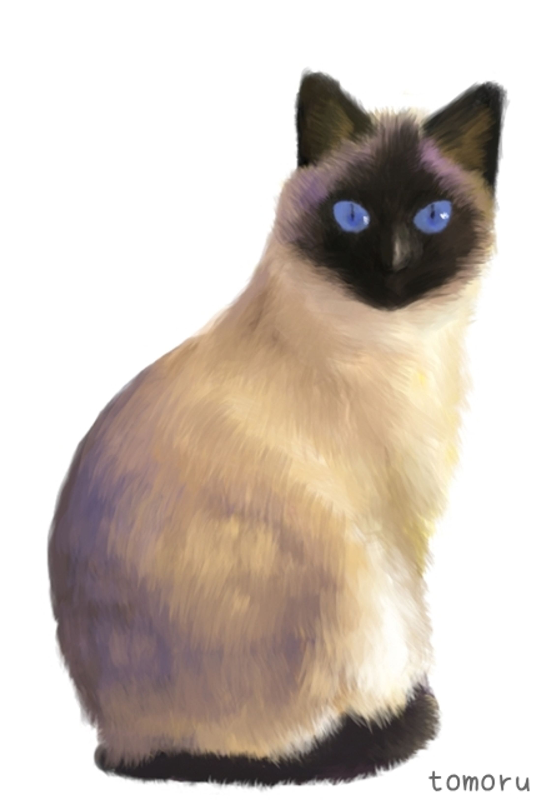 動物イラスト-1