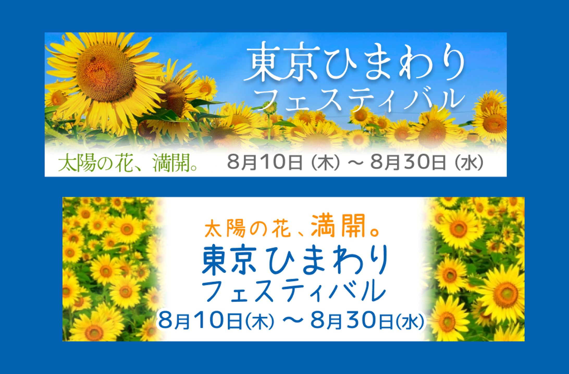 【自主制作】ひまわりフェスティバル広告バナー-1