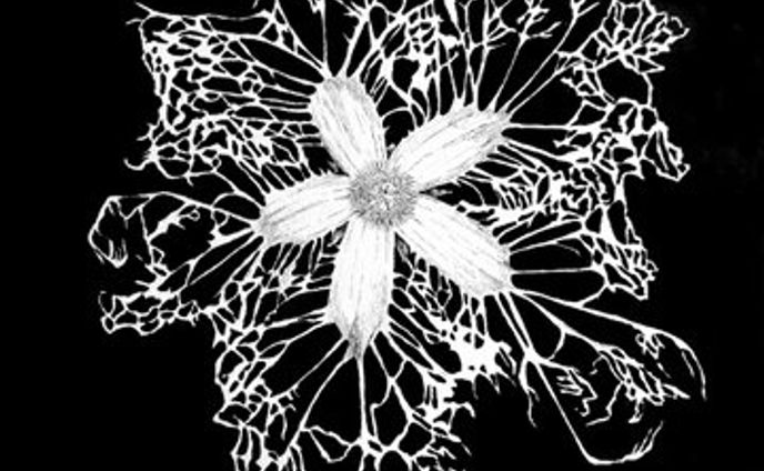 mimesis