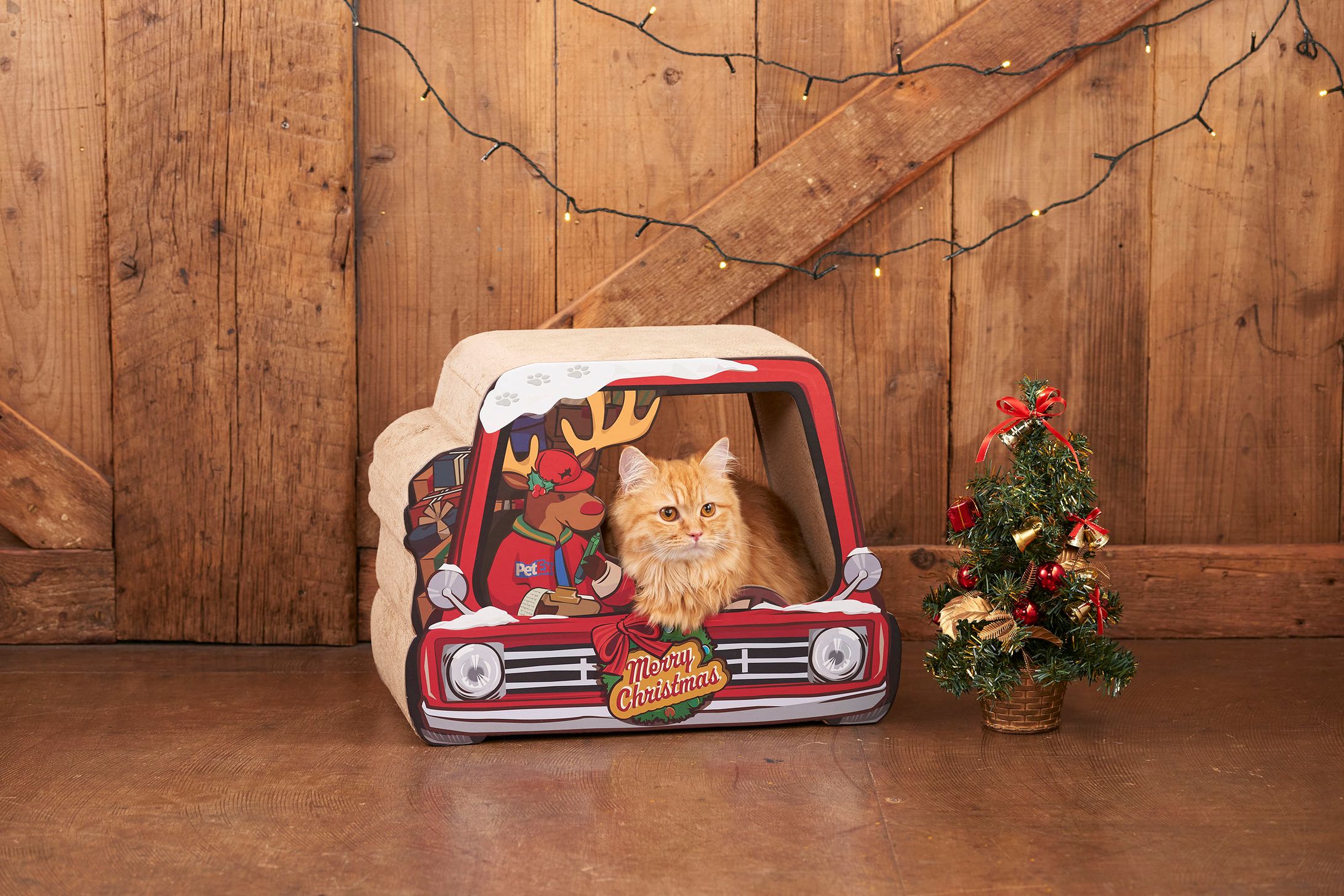Cat Scratcher Xmas Truck-1