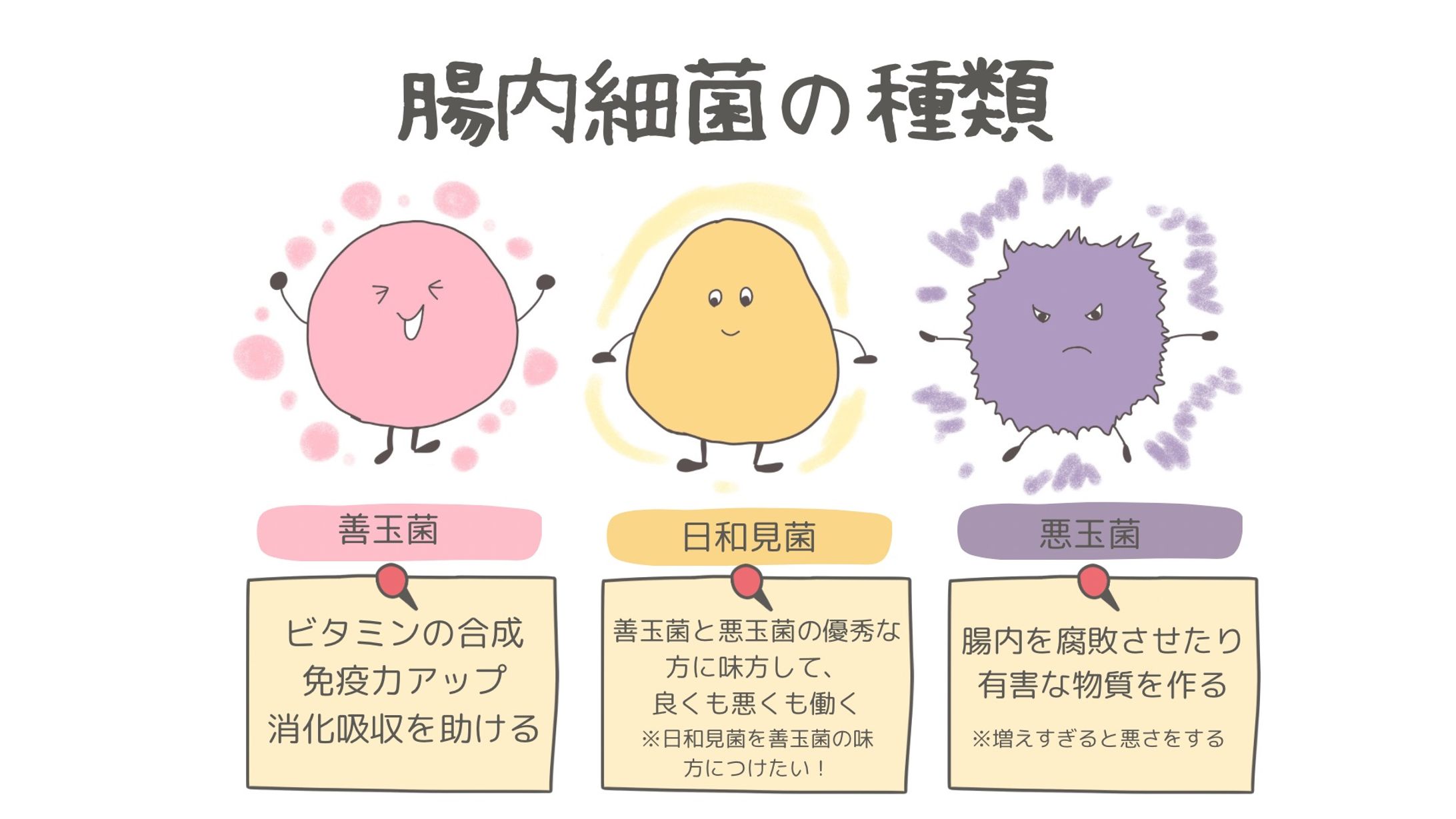 腸活本挿絵-1