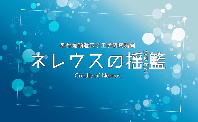 ライティング、ファンアート