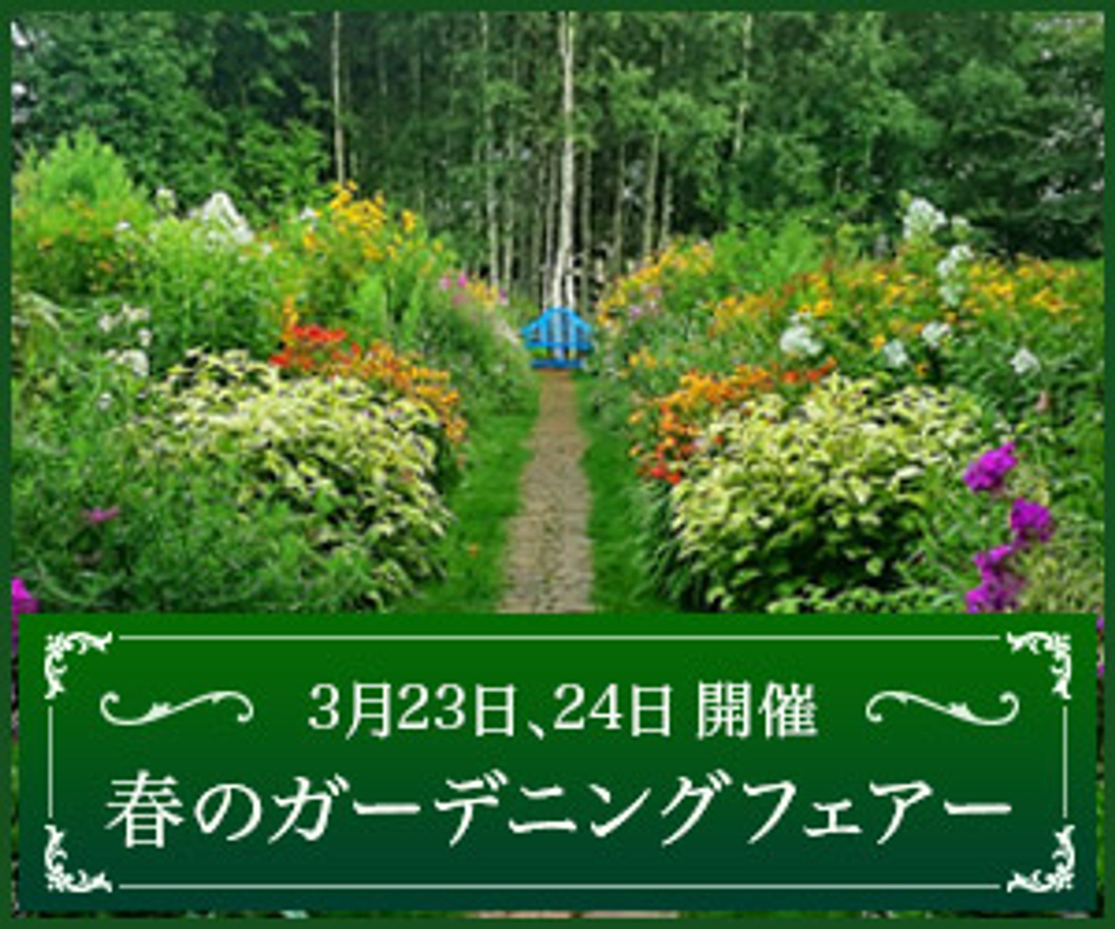 ガーデニング-1