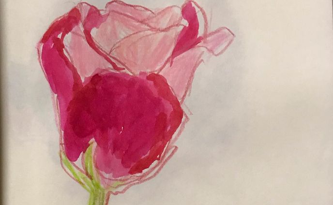 #rose #イラスト #薔薇